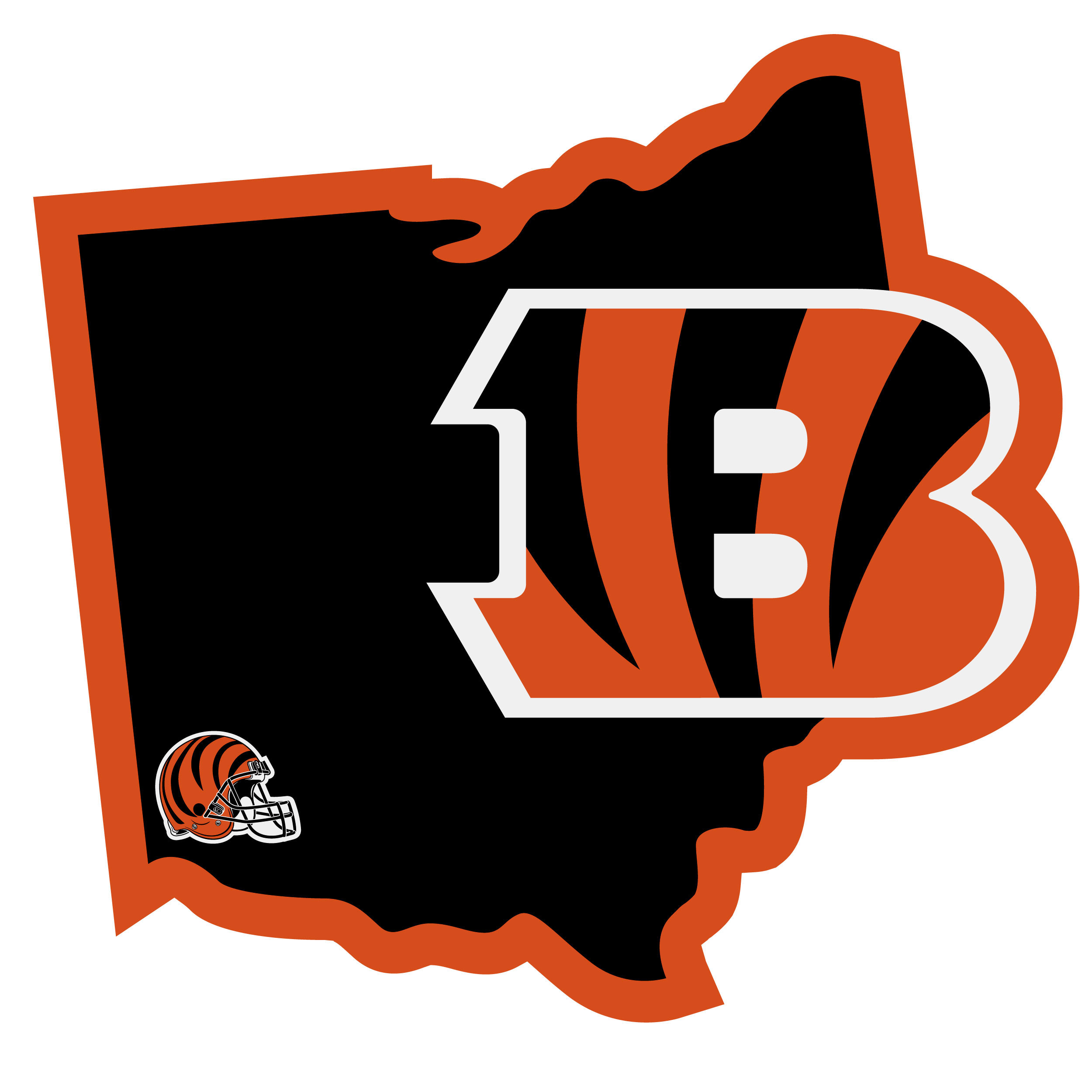 cincinnati bengals home